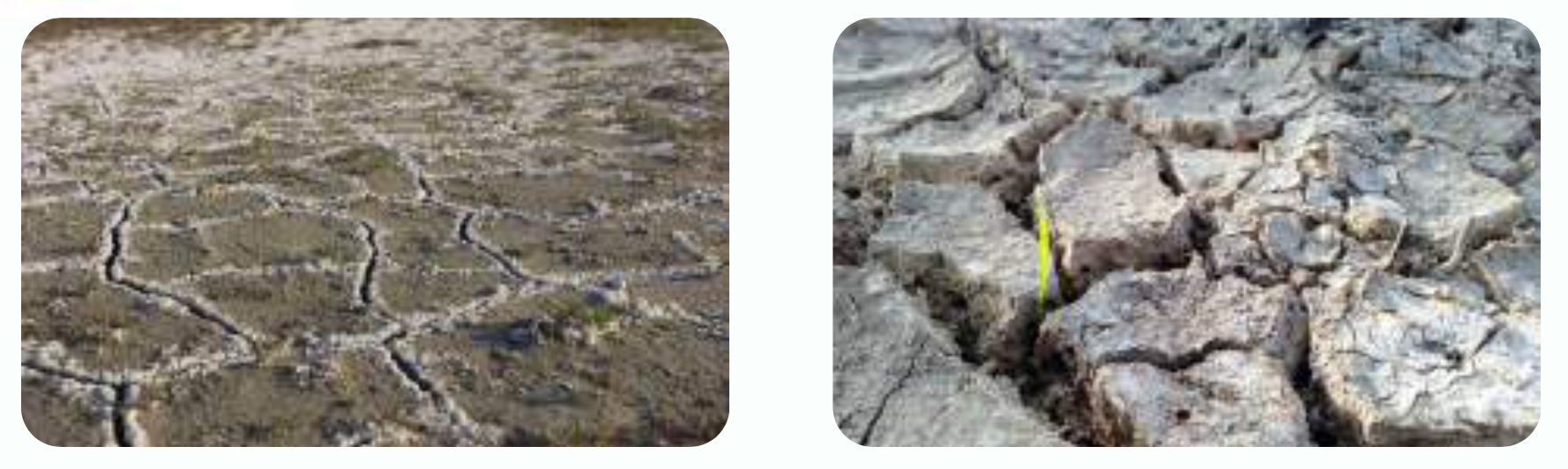 ملوحة التربة